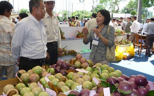 Cấp giấy chứng nhận kiểm dịch thực vật nhập khẩu