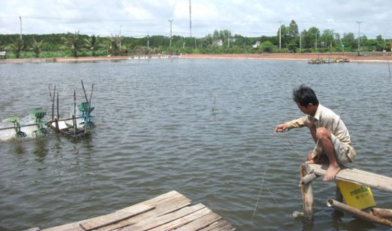 Cấp lại giấy chứng chỉ hành nghề mua bán thuốc thú y thuỷ sản