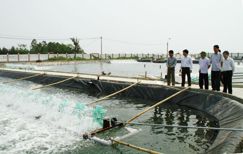 Cấp chứng chỉ hành nghề dịch vụ thú y thuỷ sản