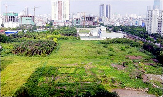 Thẩm định phương án đấu giá quyền sử dụng đất