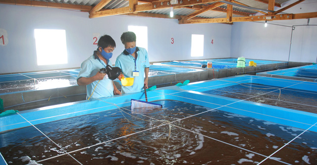Cấp giấy chứng nhận đạt tiêu chuẩn vệ sinh thú y thuỷ sản cho cơ sở sản xuất giống thuỷ sản.