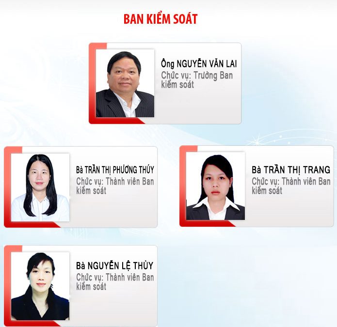 Ban kiểm soát trong công ty cổ phần