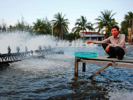 Thẩm định điều kiện sản xuất, kinh doanh giống vật nuôi