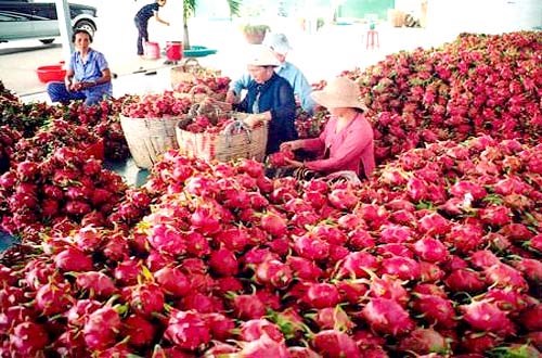 Đăng ký chứng nhận hàng Nông lâm sản Việt Nam chất lượng cao và uy tín thương mại