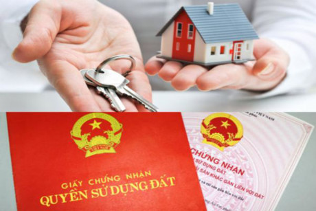 Nhận chuyển nhượng diện tích đất