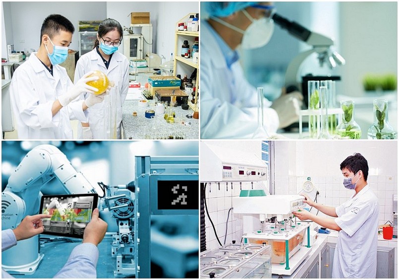 THỦ TỤC CẤP GIẤY CHỨNG NHẬN DOANH NGHIỆP KHOA HỌC VÀ CÔNG NGHỆ